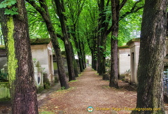 A very green path near the exit